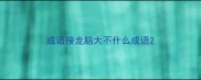 成语接龙脑大不什么成语