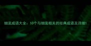 细流成语大全10个与细流相关的经典成语及详细