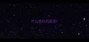 什么砥柱的成语