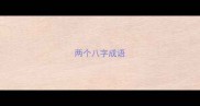 两个八字成语