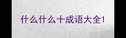 什么什么十成语大全