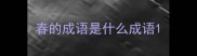 春的成语是什么成语