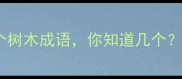 10个树木成语你知道几个