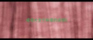 成语大全干和强的成语