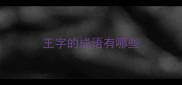 王字的成语有哪些