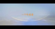 一个年成语