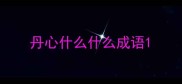 丹心什么什么成语