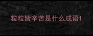 粒粒皆辛苦是什么成语