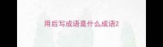 用后写成语是什么成语