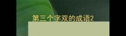第三个字双的成语