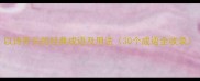 以诗开头的经典成语及用法30个成语全收录