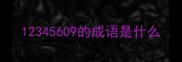 12345609的成语是什么