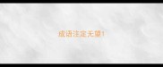 成语注定无望