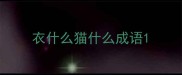 衣什么猫什么成语