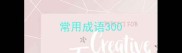 常用成语300
