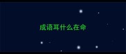 成语耳什么在命