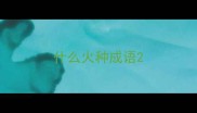 什么火种成语