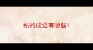 私的成语有哪些