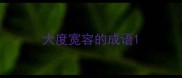 大度宽容的成语