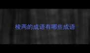 棱两的成语有哪些成语