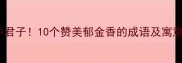郁金香象征花中君子10个赞美郁金香的成语及寓意附花语指南
