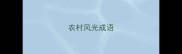 农村风光成语