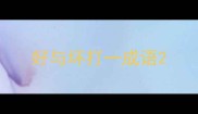 好与坏打一成语