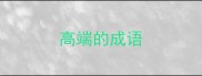 高端的成语