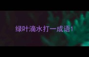 绿叶滴水打一成语