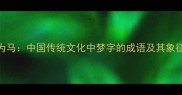 以梦为马中国传统文化中梦字的成语及其象征意义