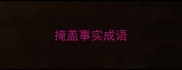 掩盖事实成语