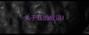 关于狂的成语