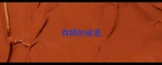 有蹄的成语
