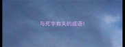 与死字有关的成语
