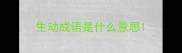 生动成语是什么意思