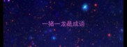 一猪一龙是成语