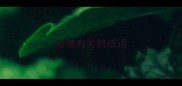 与措有关的成语