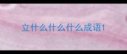 立什么什么什么成语