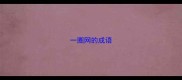一圈网的成语
