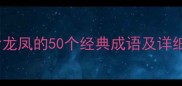 龙凤成语大全含龙凤的50个经典成语及详细附用法示例