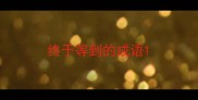 终于等到的成语