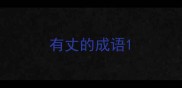 有丈的成语