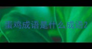 蛋鸡成语是什么成语