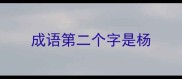 成语第二个字是杨