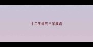 十二生肖的三字成语