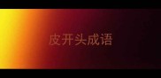 皮开头成语