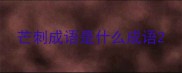芒刺成语是什么成语