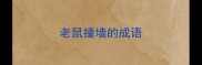老鼠撞墙的成语