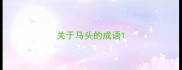 关于马头的成语