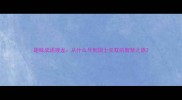 趣味成语接龙从什么尽到国士无双的智慧之旅
